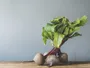 Вплив упаковки на користь продуктів