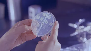 Фото CDC