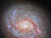 Таємниці Галактики Кальмар: Hubble розкриває космічні загадки