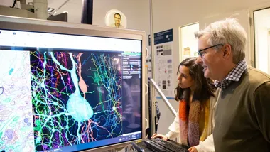 Зображення Allen Institute