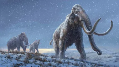 Зображення Beth Zaiken / Centre for Palaeogenetics