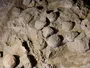 Знахідка яєць динозаврів у Китаї