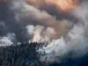 Чи врятує клімат «виловлювання» вуглецю з атмосфери?
