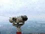 Південна Корея бореться з нашестям жуків-коханців у Сеулі