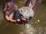 День води: Важливість прісної води та її доступність в Індії