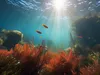 Нові види морських істот: 866 відкриттів у глибинах океану