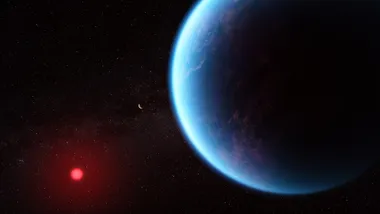 Зображення Phys.org