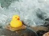 Японські вчені створили гідрогель з надміцним підводним клеєм