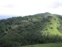 Африка втрачає ліси через голод: експерти шукають рішення
