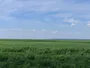 Белігеративні ландшафти України: Історія воєнних рубежів від стародавніх часів до сьогодення