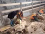 Археологи в Італії знайшли некрополь з 200 гробниць віком понад 2 500 років