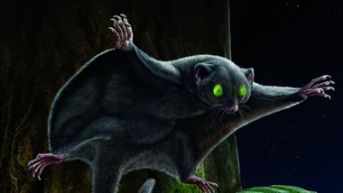 Зображення Courtesy of Chinese Academy of Sciences