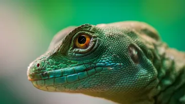 Фото Pexels