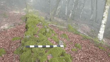 Зображення ZME Science