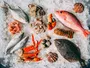 Культивована риба дарує надію алергікам — революція у світі морепродуктів