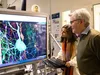 Детальна 3D-карта мозку: Прорив у розумінні нейронних мереж