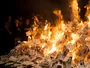 Зелені субсидії у Британії коштують £900 на родину щороку