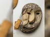 Стародавнє мистецтво Аляски, що ледь не зникло