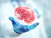 MIND дієта знижує ризик деменції навіть у похилому віці