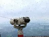 Південна Корея бореться з нашестям жуків-коханців у Сеулі