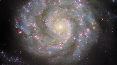 Зображення NASA