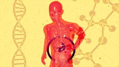 Зображення ScienceBlog