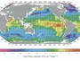 Вчені пояснили зростання CO2 температурою океанів