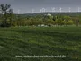 У Німеччині знищують казковий ліс заради вітрових турбін