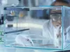 FDA планує відмовитися від тестування ліків на тваринах