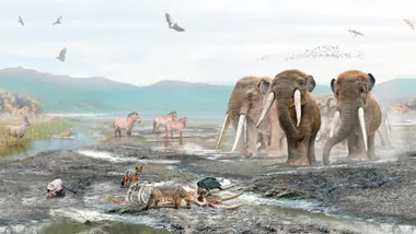 Зображення Sci.News