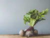 Вплив упаковки на користь продуктів