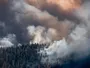 Чи врятує клімат «виловлювання» вуглецю з атмосфери?