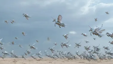 Зображення Watts Up With That？