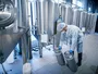 Як молочна сироватка може зменшити харчові відходи