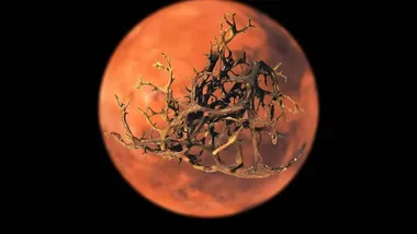 Зображення Earth