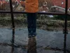 Діти з родин, де батьки застосовують фізичне насильство, частіше стають кривдниками
