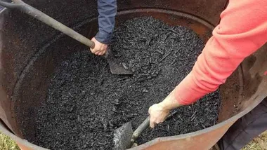 Новий прорив у виробництві біовугілля може врятувати світ від кліматичної кризи