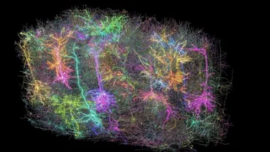 Зображення ScienceBlog