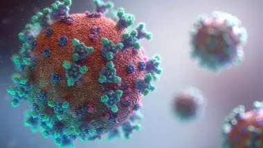 Фото Fusion Medical Animation
