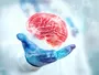 MIND дієта знижує ризик деменції навіть у похилому віці