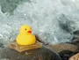 Японські вчені створили гідрогель з надміцним підводним клеєм