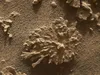Марсохід Curiosity знайшов скелі у формі корала на Марсі